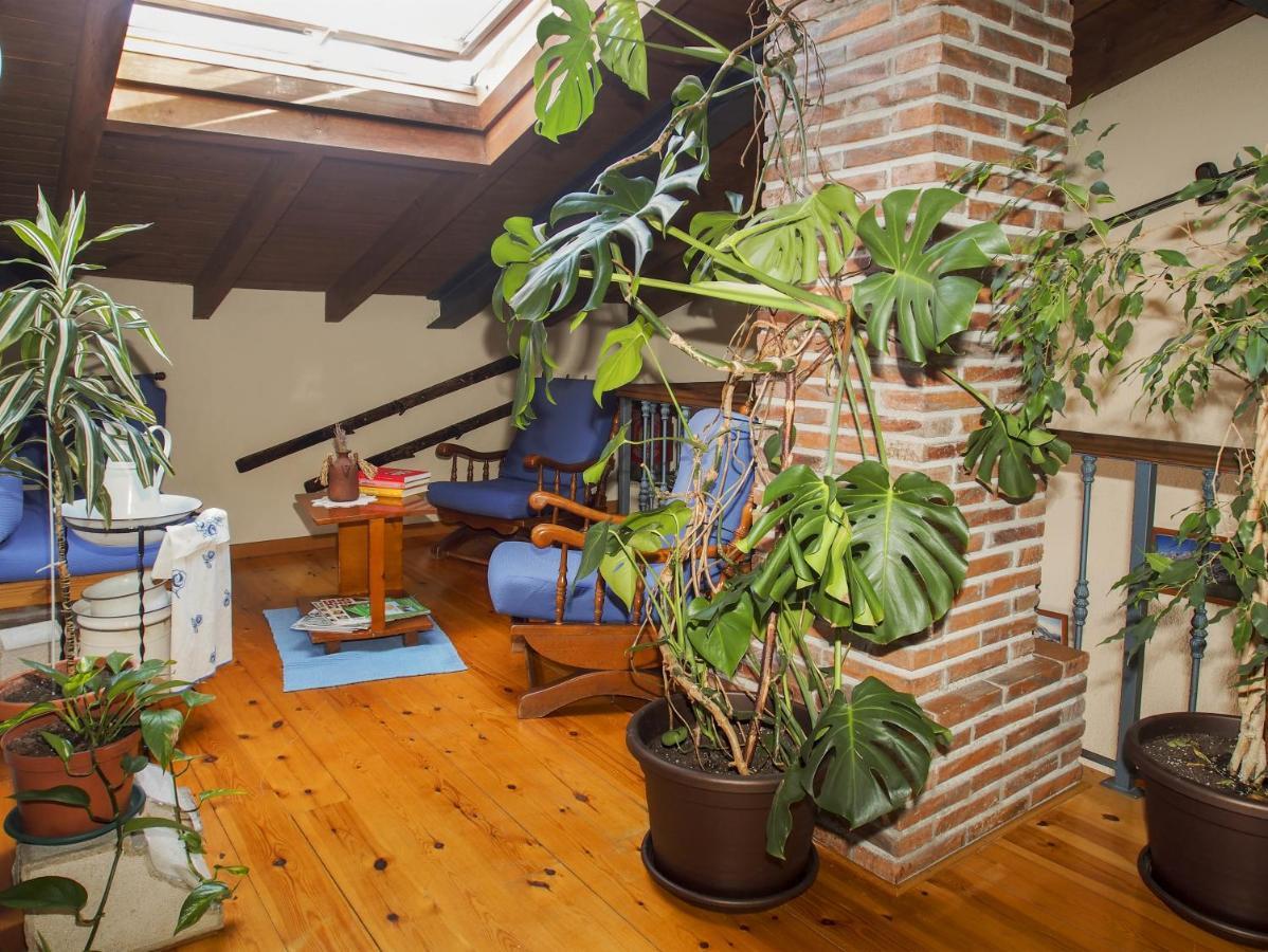 Casa De La Montana Albergue Turistico Avín Buitenkant foto